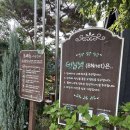 상권농장 | 부안체험으로 진짜 힐링 조카들과 함께한 감자 농장 포레도 후기