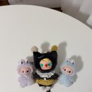 댕댕이와 냥냥이 울산장현점 | 2025년 10월