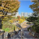 포레자이공인중개사사무소 | 편리한 출퇴근을 돕는 하이닉스셔틀권과 신동탄 포레 자이의 조화