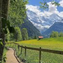 여성 헤어 커트 이미지