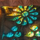 직업상담사 2급 국가자격증 이미지