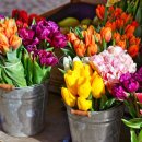 환희플라워