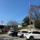 순천 가볼만한곳 순천빵집 조훈모과자점 죽도봉점
