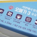 도그앤박스 이미지