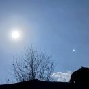 구름이 쉬는 나무 이미지