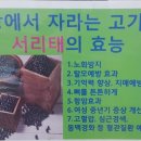 원일농장 이미지