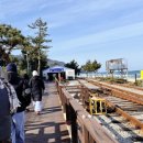 레일바이크 | 강릉 꼭 가봐야 할 곳, 정동진 레일바이크 후기(제휴 할인, 운영시간, 주차장)