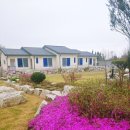 마호네펜션 이미지