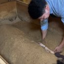 편백효소찜질 본점 이미지