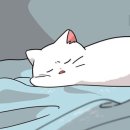 쓰담쓰담 이미지