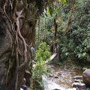 코코농장 1 이미지