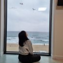 안목26펜션