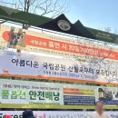영수네 이미지