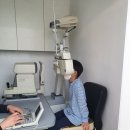 안경나래 이미지