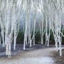 청하우체국 이미지