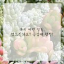 유스치과의원 | 건강한 나를 위한 똑똑한 병의원 이용 가이드, 놓치고 있다면 꼭 확인해 보세요!