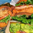 버거베이 이미지