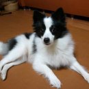 인천구월서초등학교 이미지