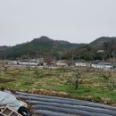 화순믿음공인중개사사무소 이미지