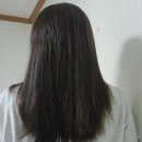 윤기 헤어트리트먼트 바디브 미오 모발 홈케어 후기