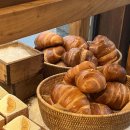 경진공업사 | [농진청 기자단] 2023 농촌진흥청 SNS 기자단 해단식 후기