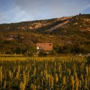 Grand hanok 이미지