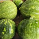 가평흑염소농장 이미지