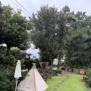 푸딩포토 | 서귀포 남원 카페, 초코푸딩 맛집 내노키카페 후기