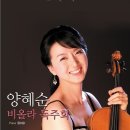 비올라 이미지