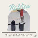 544 | [화장품 리뷰] 맥 러스터글래스 544 비즈니스 캐주얼 쿨톤 후기