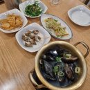 포항막회 티스토리