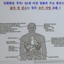 서프라이즈보드카페 이미지