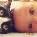 버팔로 동물병원 이미지