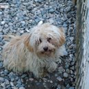 성대농장 이미지