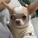 와르르맨션 이미지