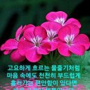 &#34;남기인 (사)경기도사립유치원연합회 회장 취임식에 참석&#34; 이미지