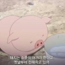 현대웰빙랜드 이미지