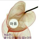 공 감 Daum카페