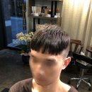 보리떼 모노