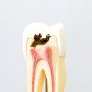 자연미소치과 이미지