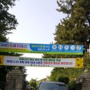 클린스쿨 울산 이미지