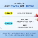 냉동도시락 아워홈 온더고 카레에 콩당 함박정식 내돈내산 후기 영양정보 칼로리 조리방법