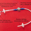 마송 동물병원 이미지