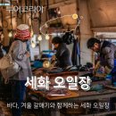 더좋은제주 이미지