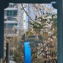 당동공인중개사사무소 이미지