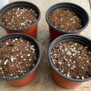 뿌리민박 이미지