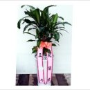 정우APT 입구 이미지