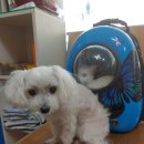 귀족동물병원 이미지