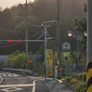 햇님달님민박 이미지