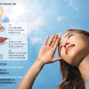 뉴비타민 이미지